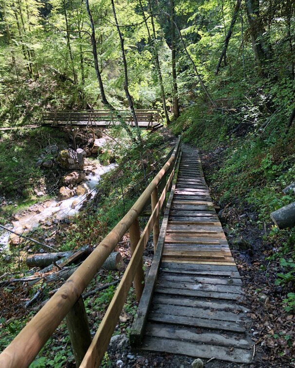 Brücke im Wald am Stollenweg zum Salzbergwerk Berchtesgaden